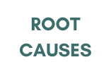 Root Causes